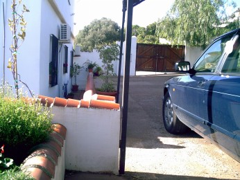 Rear Driveway